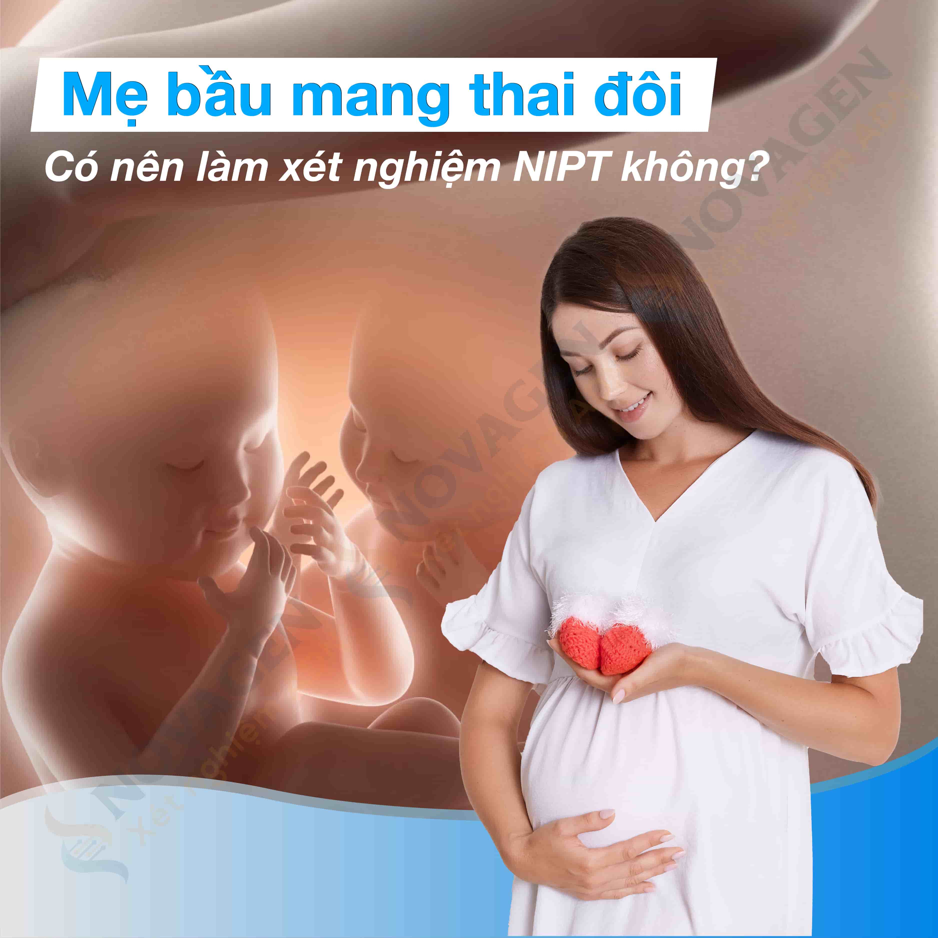 Mẹ bầu thai đôi có nên làm NIPT
