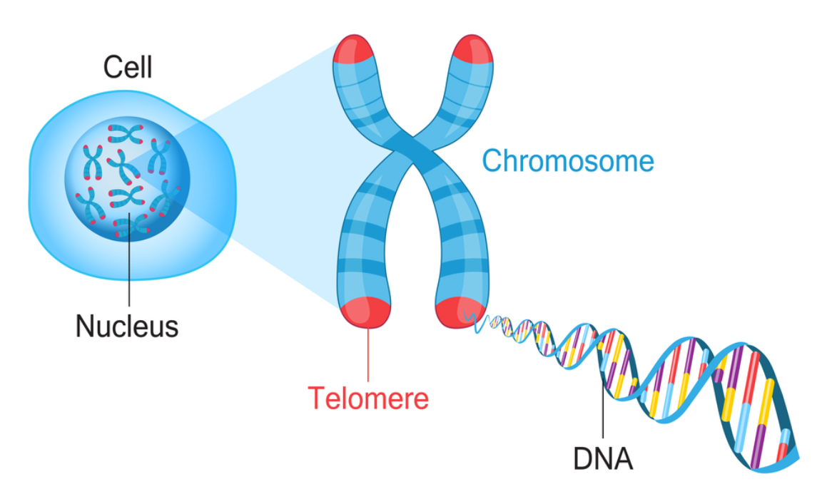 Genomics là gì?