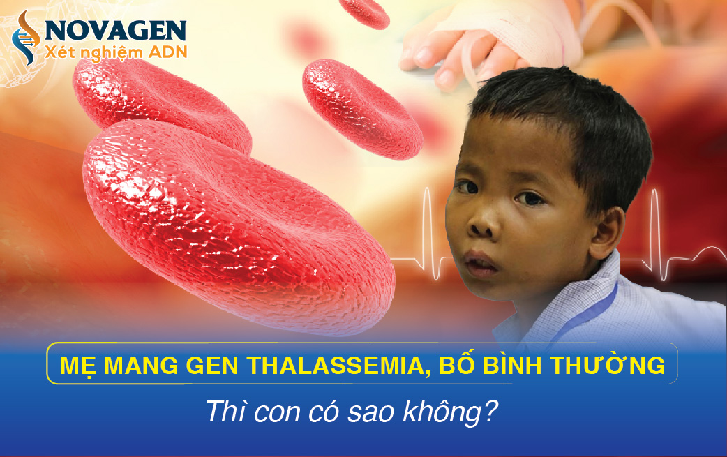 Mẹ Mang Gen Thalassemia Bố Bình Thường Thì Con Có Sao Không?