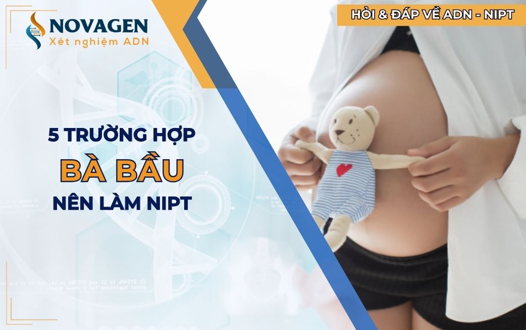 5 trường hợp bà bầu nên làm NIPT sàng lọc dị tật thai nhi