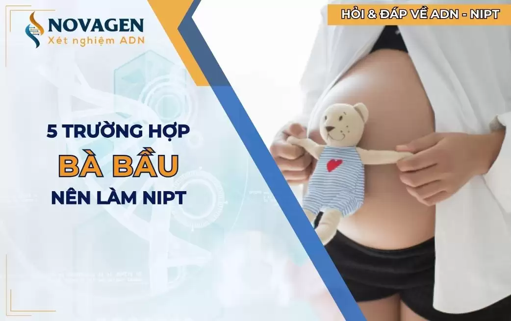 5 trường hợp bà bầu nên làm NIPT sàng lọc dị tật thai nhi