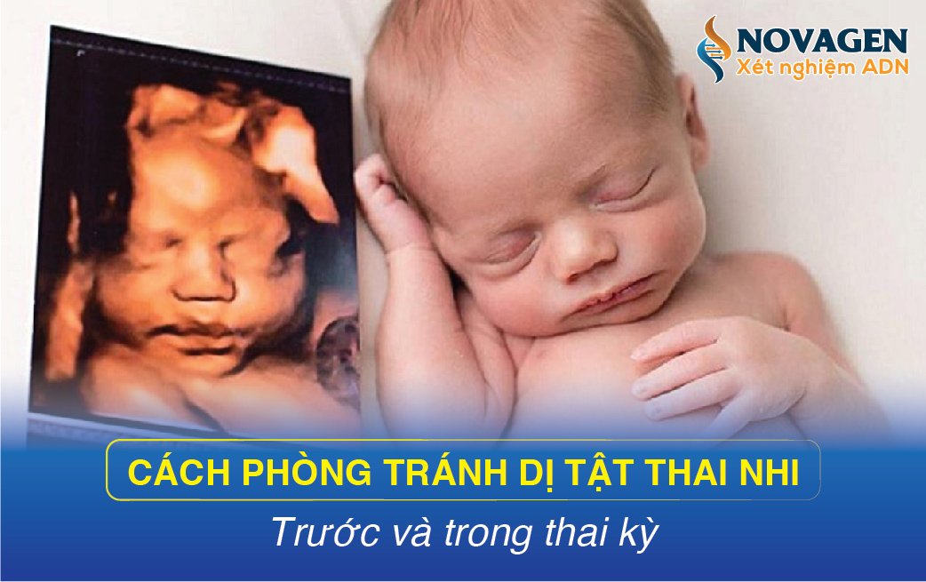 Cách Phòng Tránh Dị Tật Thai Nhi Trước Và Trong Thai Kỳ