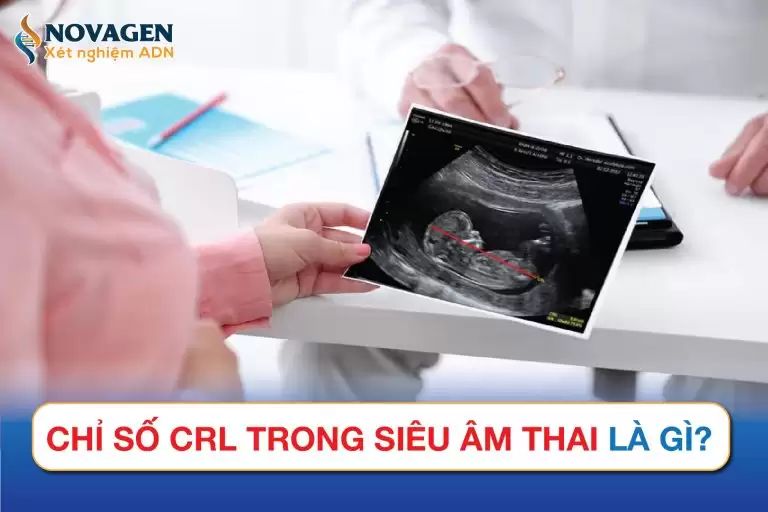 Chỉ Số CRL Trong Siêu Âm Thai Là Gì?