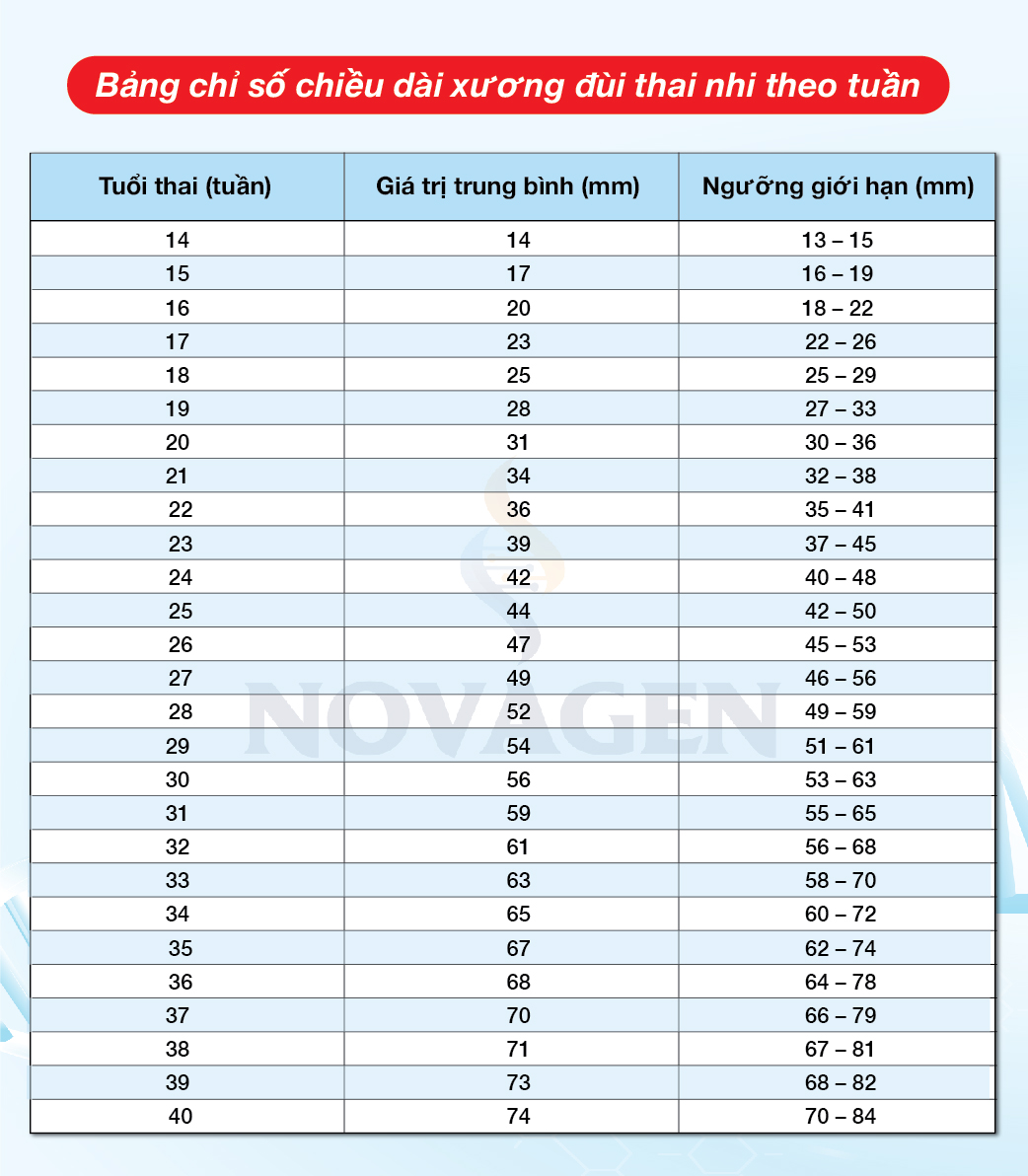 Cách đọc và hiểu các chỉ số siêu âm chiều dài xương đùi thai nhi