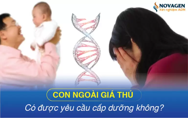 Con Ngoài Giá Thú Có Được Yêu Cầu Cấp Dưỡng Không?