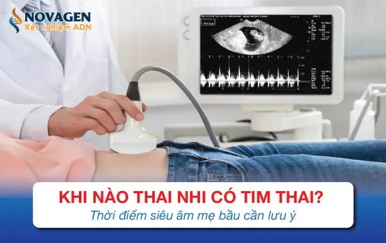 Khi Nào Thai Nhi Có Tim Thai? Thời Điểm Siêu Âm Mẹ Bầu Cần Lưu Ý