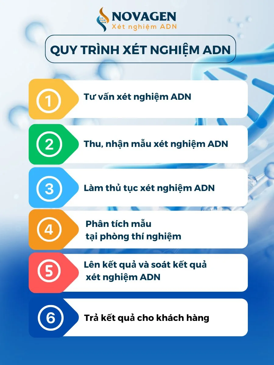 XÉT NGHIỆM ADN ANH - CHỊ EM CÙNG MẸ