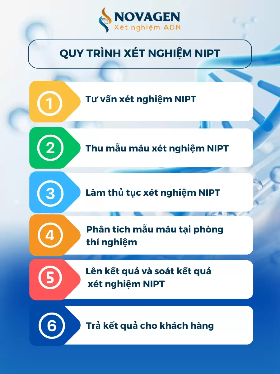NIPT 3+1