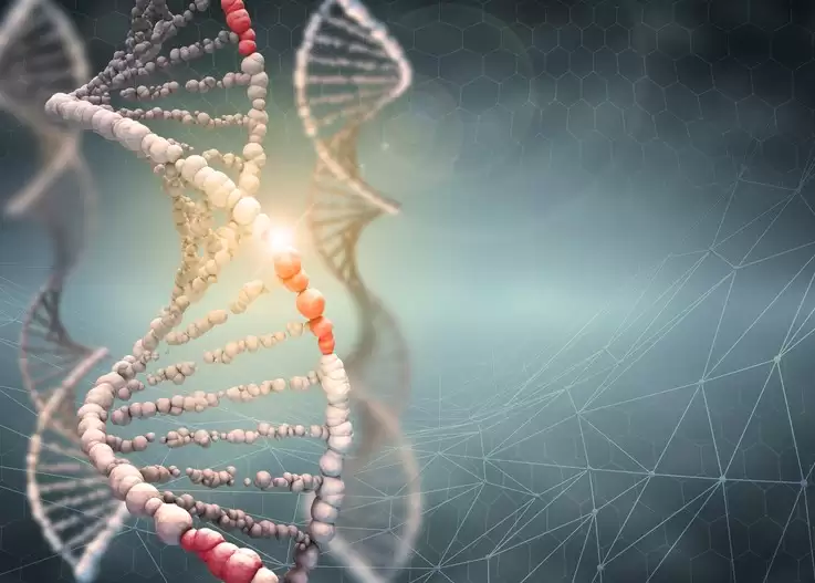 Tổng Quan Về Rối Loạn Hệ Gen (Genomic Disorders)