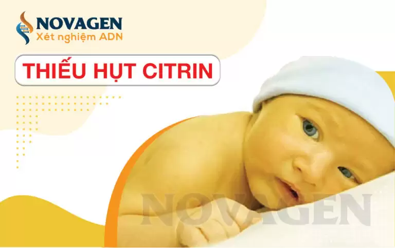 Thiếu Hụt Citrin