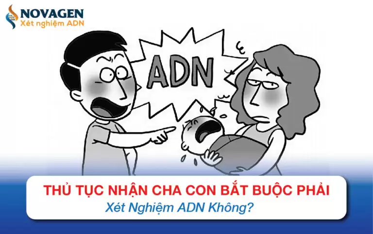 Thủ Tục Nhận Cha Con Bắt Buộc Phải Xét Nghiệm ADN Không?
