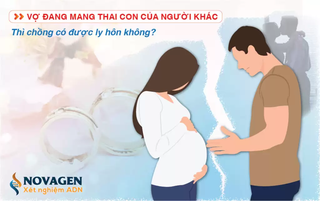 Vợ Đang Mang Thai Con Của Người Khác Thì Chồng Có Được Ly Hôn Không?