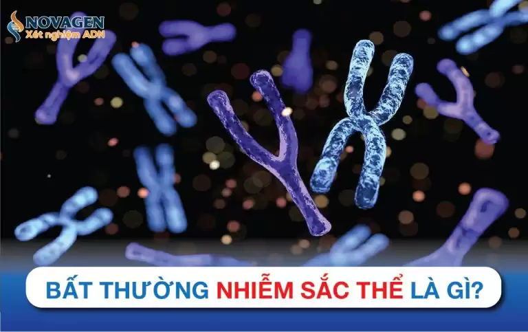 Bất Thường Nhiễm Sắc Thể Là Gì?