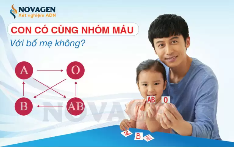 Bố Con Có Cùng Nhóm Máu Không? Xác Định Huyết Thống Theo Nhóm Máu