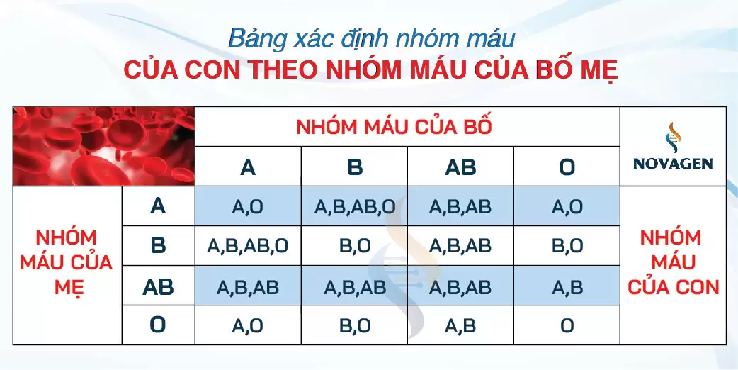 Bảng mối quan hệ nhóm máu cha mẹ con