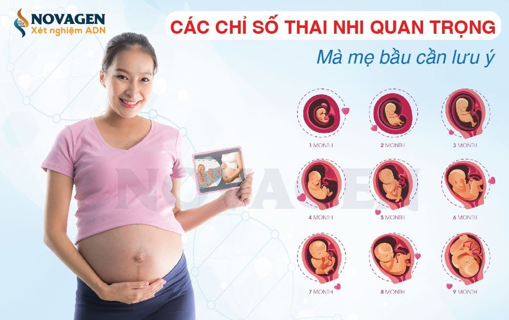 Các chỉ số thai nhi quan trọng mà mẹ bầu cần lưu ý