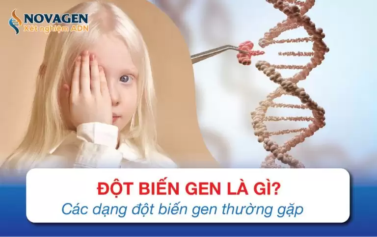 Đột Biến Gen Là Gì? Các Dạng Đột Biến Gen Thường Gặp
