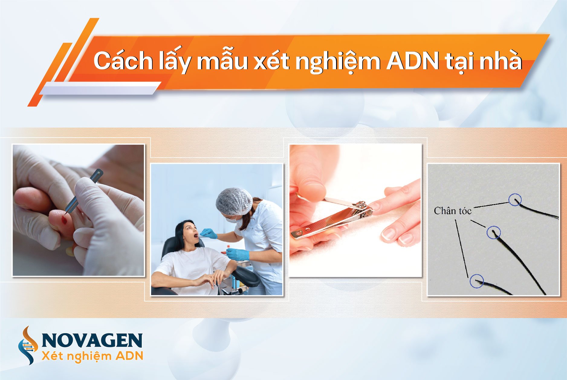 Các đơn vị cung cấp dịch vụ xét nghiệm ADN tại nhà uy tín