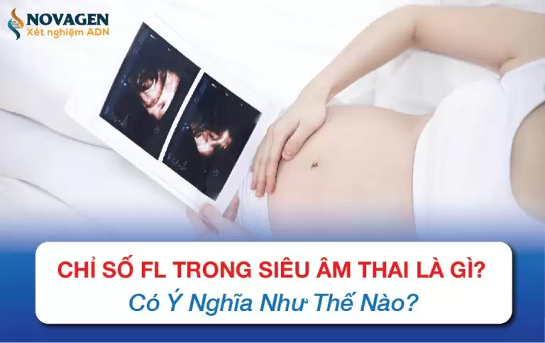 Chỉ Số FL Trong Siêu Âm Thai Là Gì? Có Ý Nghĩa Như Thế Nào?