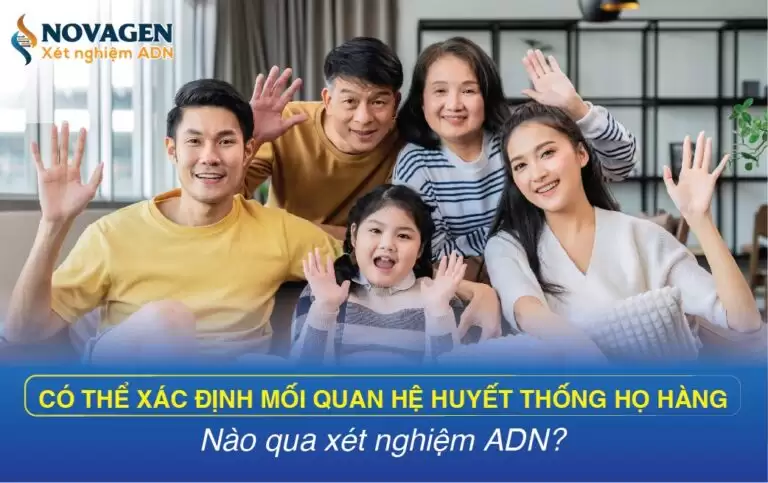 Có Thể Xác Định Mối Quan Hệ Huyết Thống Họ Hàng Nào Qua Xét Nghiệm ADN?