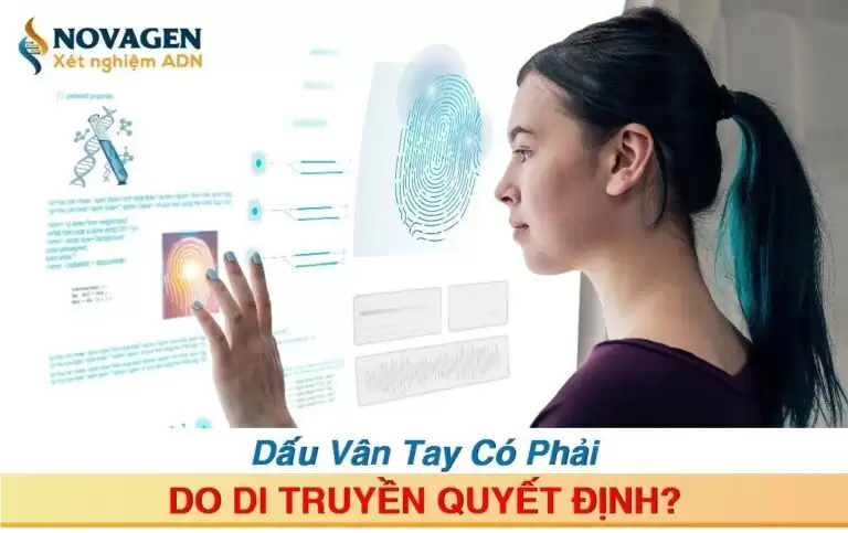Dấu Vân Tay Có Phải Do Di Truyền Quyết Định?