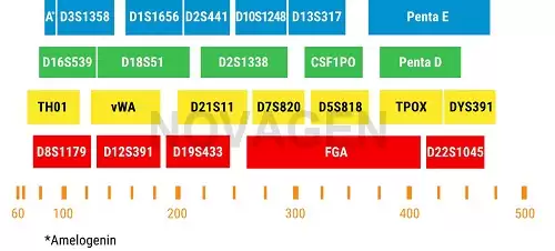Độ chính xác của xét nghiệm ADN huyết thống Độ chính xác của xét nghiệm ADN huyết thống