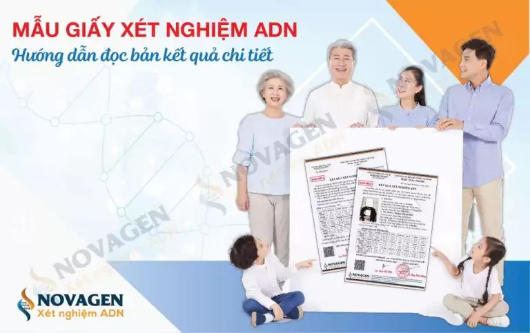 Mẫu giấy xét nghiệm ADN – Hướng dẫn đọc bản kết quả chi tiết