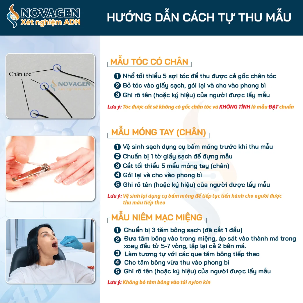 XÉT NGHIỆM ADN ANH - CHỊ EM CÙNG MẸ
