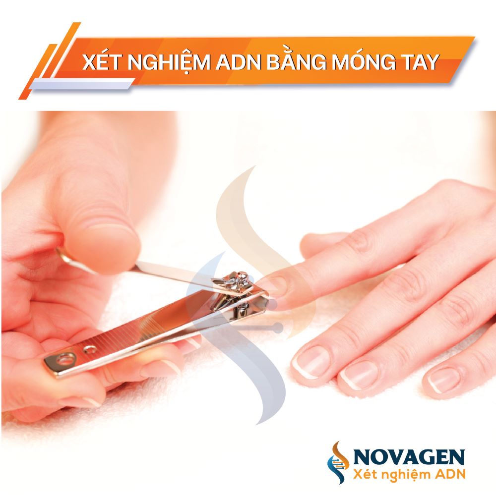 Cách tự lấy mẫu móng tay xét nghiệm ADN tại nhà đơn giản 