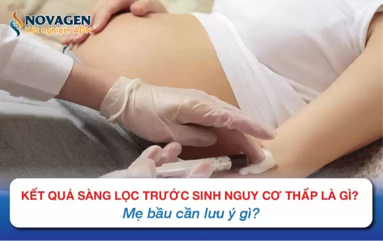 Kết Quả Sàng Lọc Trước Sinh Nguy Cơ Thấp Là Gì? Mẹ Bầu Cần Lưu Ý Gì?