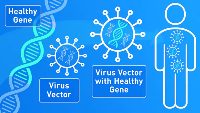 Liệu Pháp Gen Là Gì?