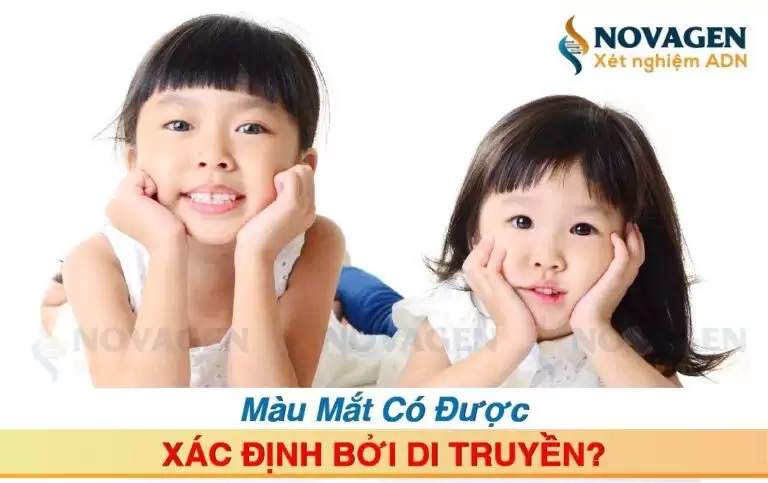 Màu Mắt Có Được Xác Định Bởi Di Truyền?