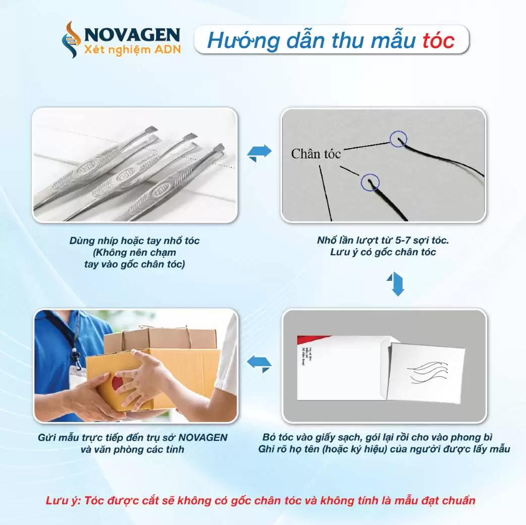 Hướng dẫn thu mẫu tóc xét nghiệm ADN