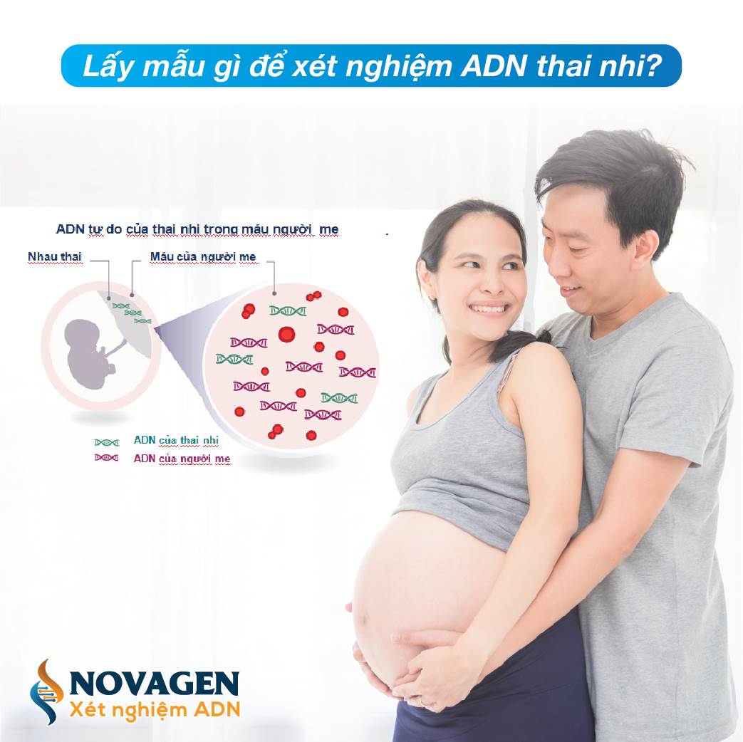 Lấy mẫu gì để xét nghiệm ADN cho kết quả CHÍNH XÁC? 