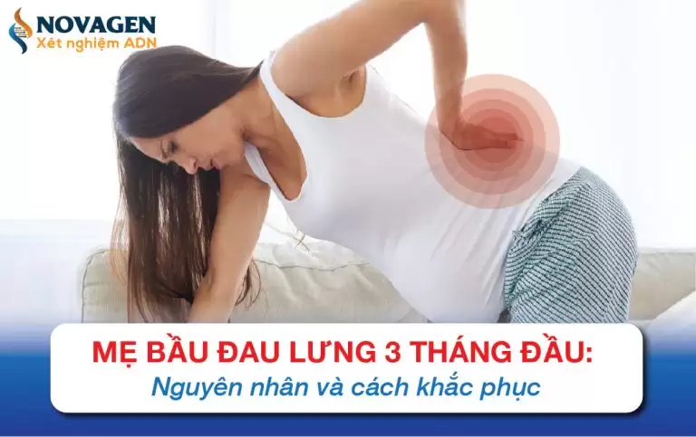 Mẹ Bầu Đau Lưng 3 Tháng Đầu: Nguyên Nhân Và Cách Khắc Phục