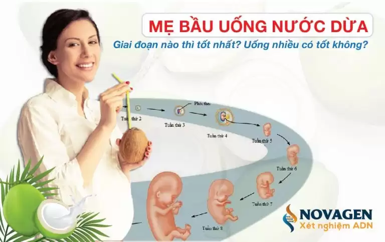 Mẹ Bầu Uống Nước Dừa Ở Giai Đoạn Nào Thì Hiệu Quả? Uống Nhiều Có Tốt Không?