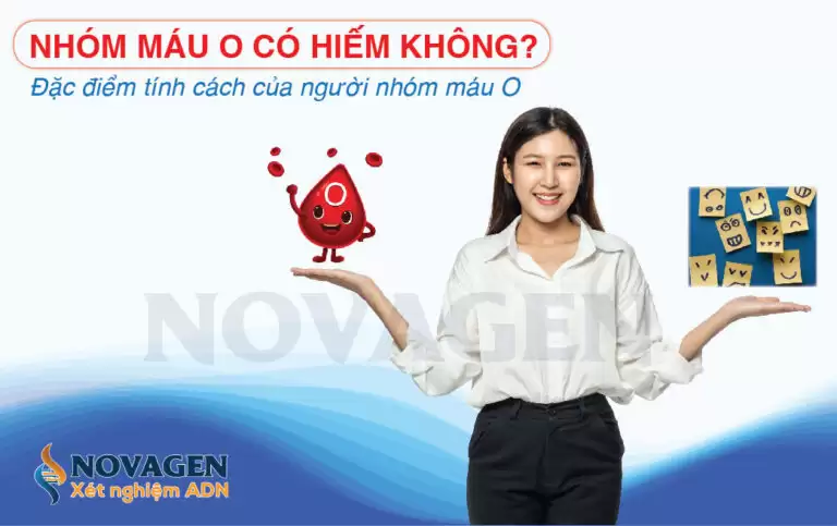Nhóm Máu O Có Hiếm Không? Đặc Điểm Tính Cách Của Người Nhóm Máu O