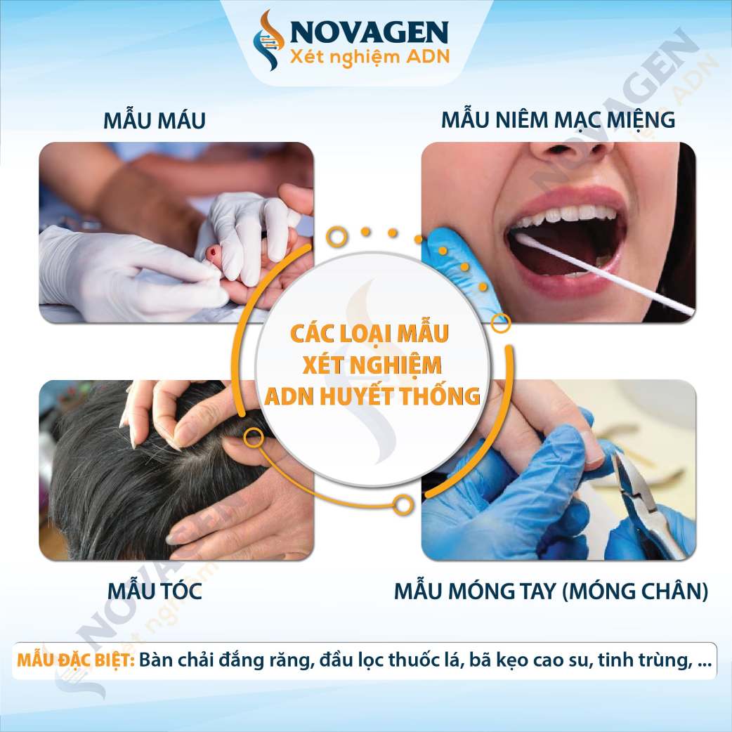 Các loại mẫu xét nghiệm ADN huyết thống