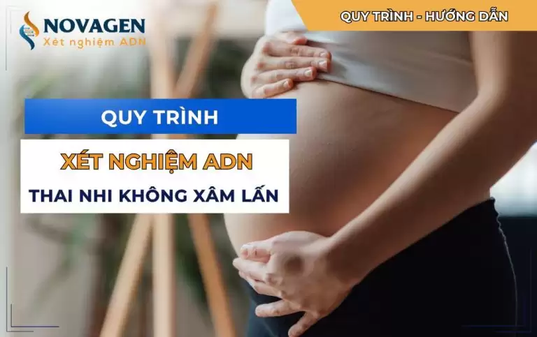 Quy trình xét nghiệm ADN thai nhi không xâm lấn (từ tuần thứ 7)