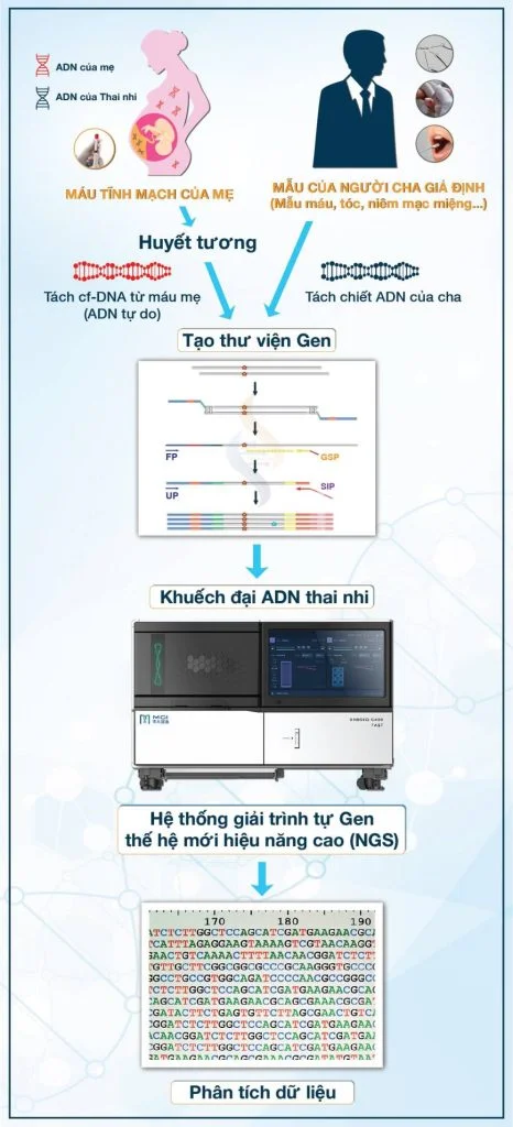 quy trình xét nghiệm adn thai nhi bằng NGS