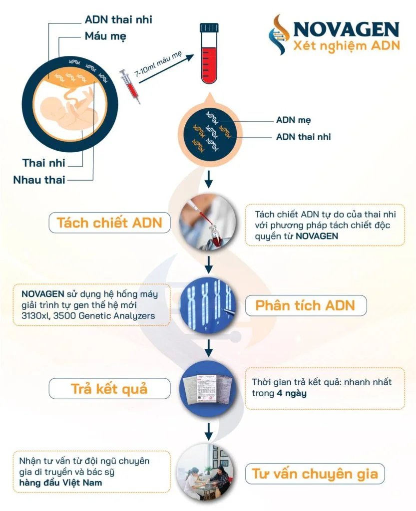 quy trình xét nghiệm adn thai nhi không xâm lấn