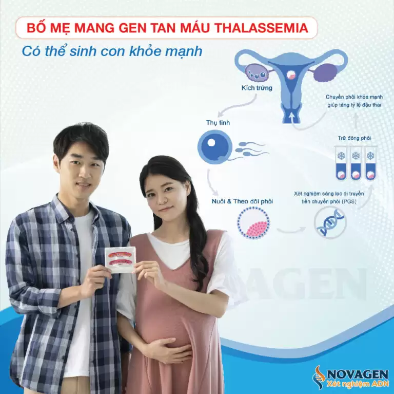 Bố Mẹ Mang Gen Tan Máu Bẩm Sinh Thalassemia Có Thể Sinh Con Khoẻ Mạnh Không ?