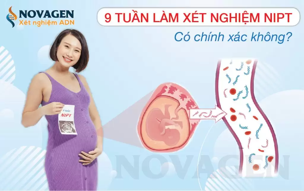 Mang Thai 9 Tuần Làm Xét Nghiệm NIPT Có Chính Xác Không
