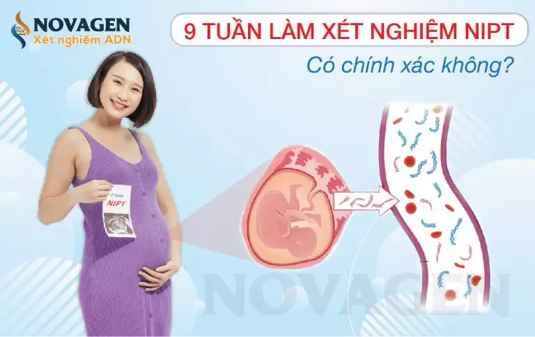 Mang Thai 9 Tuần Làm Xét Nghiệm NIPT Có Chính Xác Không