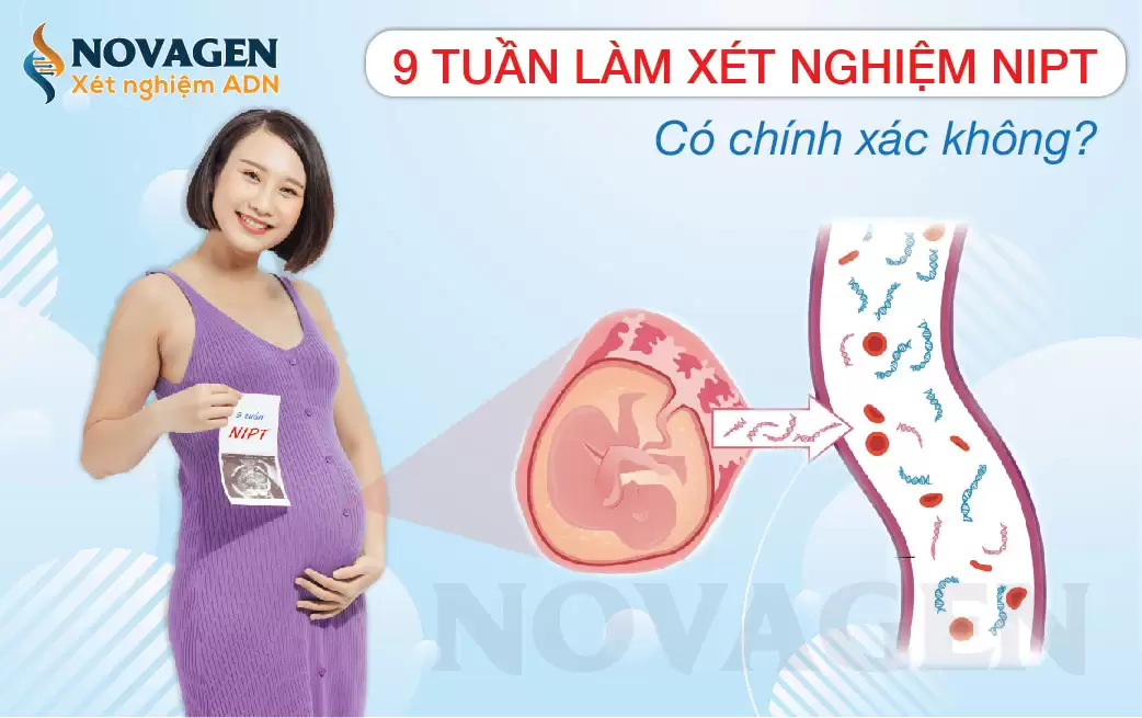 Mang Thai 9 Tuần Làm Xét Nghiệm NIPT Có Chính Xác Không
