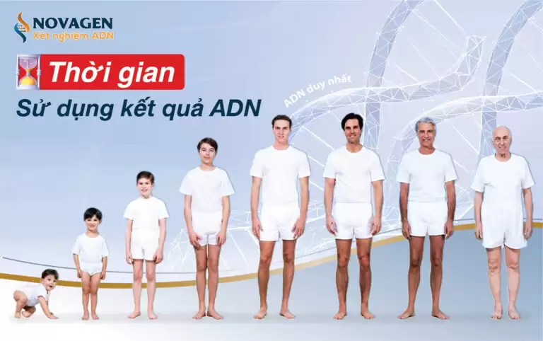 Thời Hạn Sử Dụng Bản Kết Quả ADN