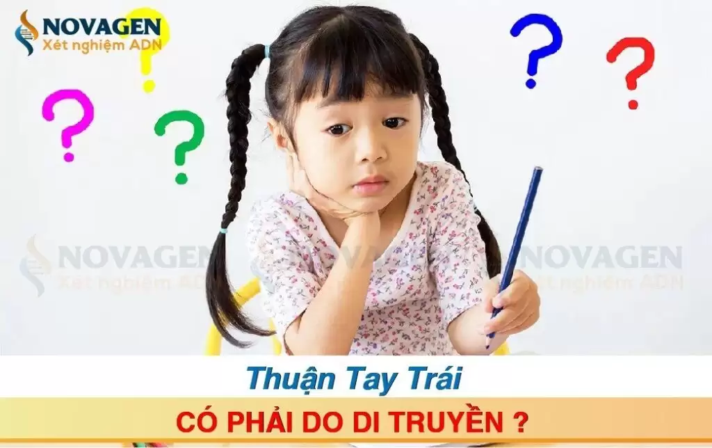 Thuận Tay Trái Có Phải Do Di Truyền?