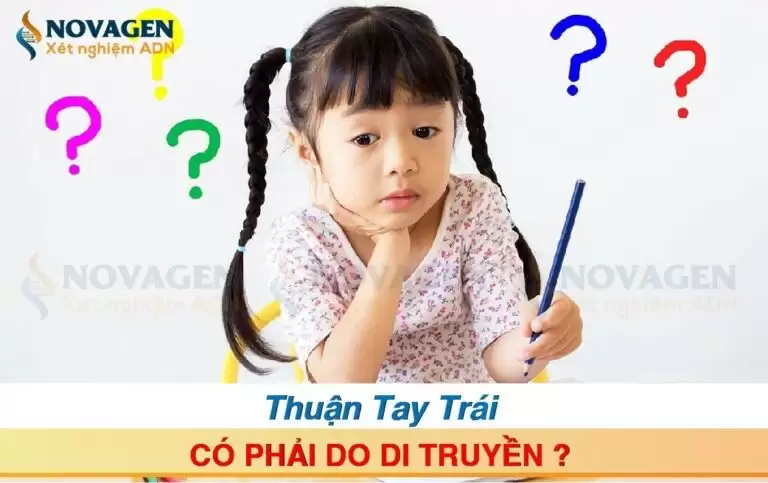 Thuận Tay Trái Có Phải Do Di Truyền?