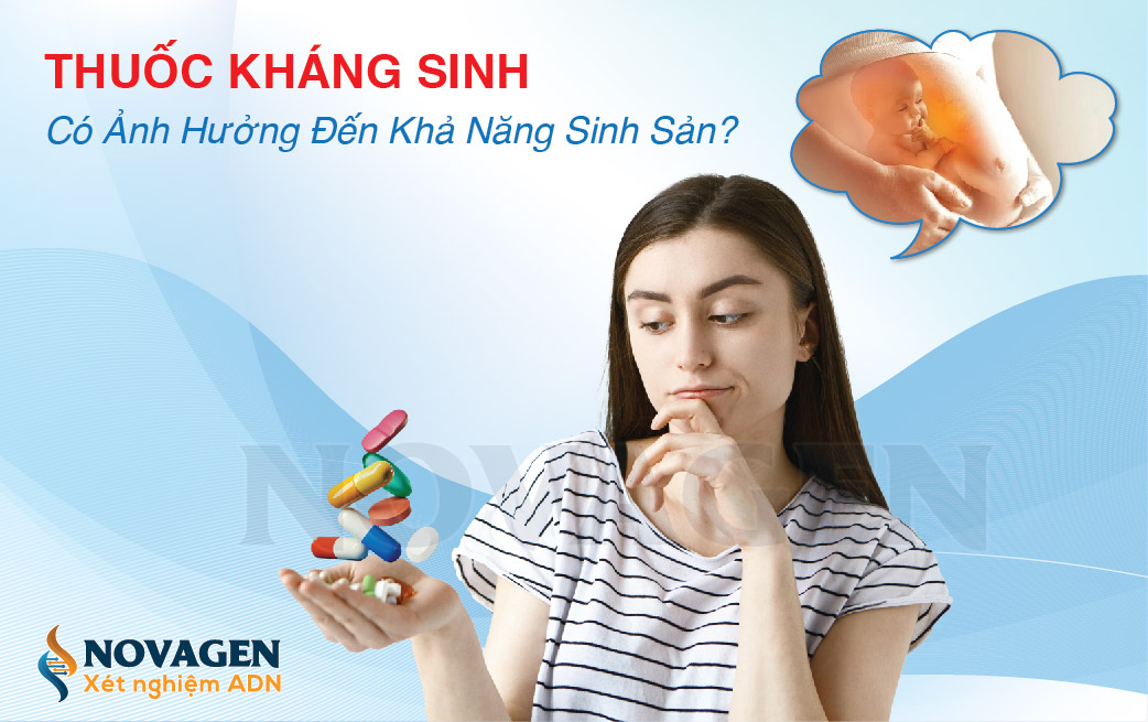 Thuốc Kháng Sinh Có Ảnh Hưởng Đến Khả Năng Sinh Sản?