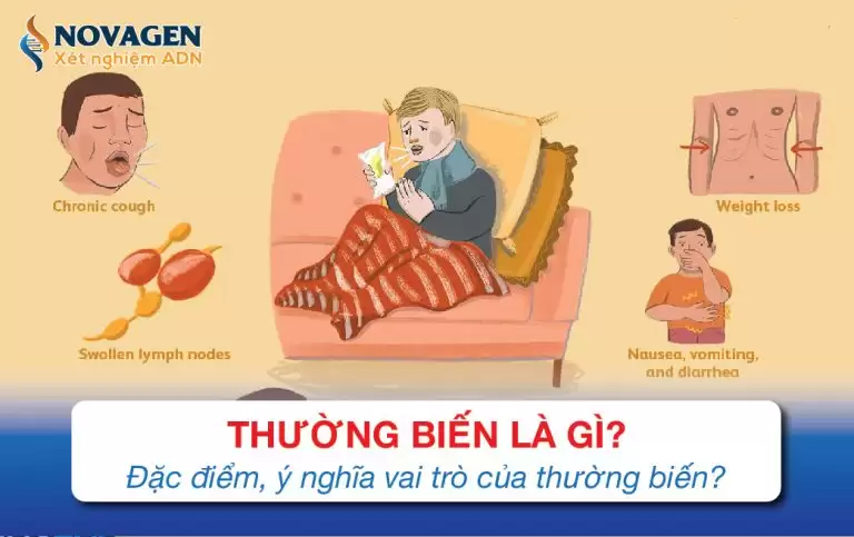 Thường Biến Là Gì? Đặc Điểm, Ý Nghĩa, Vai Trò Của Thường Biến